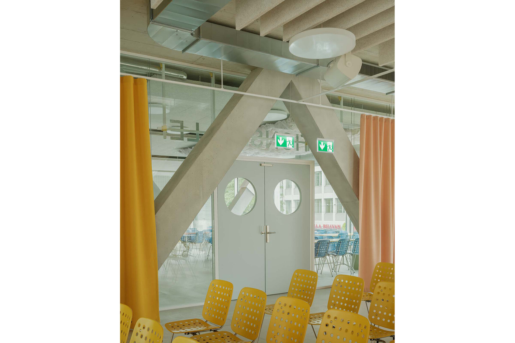 Seledue_BBZ_Coray_05