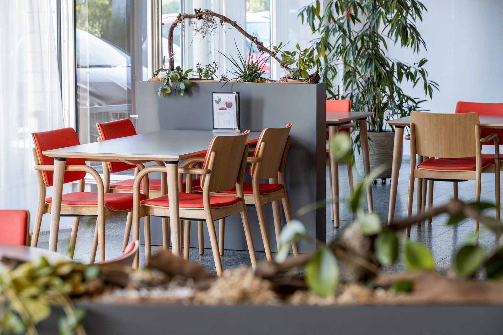 Zentrum Aettenb&uuml;hl, Sins